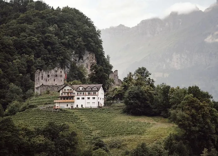 Hotel The Hus Am Weinberg Flums